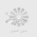 InfoDaily InfoDaily